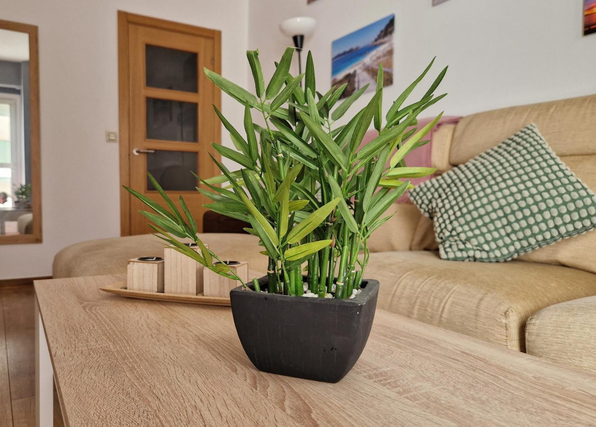 Apartamento Playa Bouzas - Vigo - Parking Free Bagian luar foto